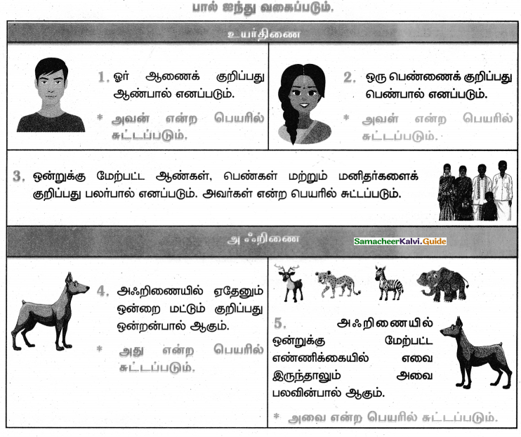 Samacheer Kalvi 4th Tamil Guide Chapter 2 பனைமரச் சிறப்பு - 4