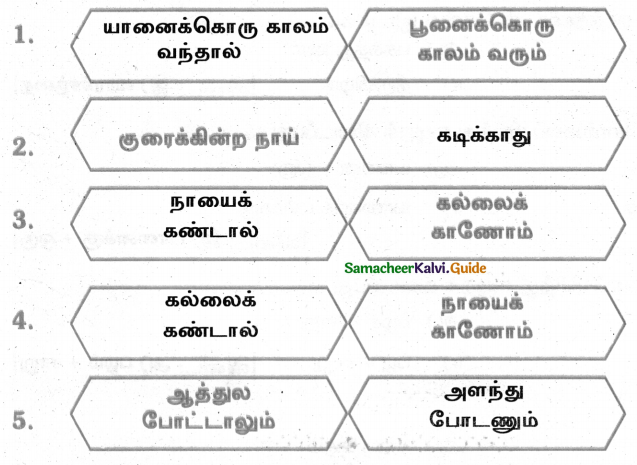 Samacheer Kalvi 4th Tamil Guide Chapter 5 பண்படுத்தும் பழமொழிகள் - 2