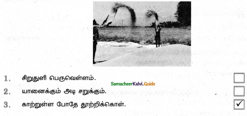 Samacheer Kalvi 4th Tamil Guide Chapter 5 பண்படுத்தும் பழமொழிகள் - 3