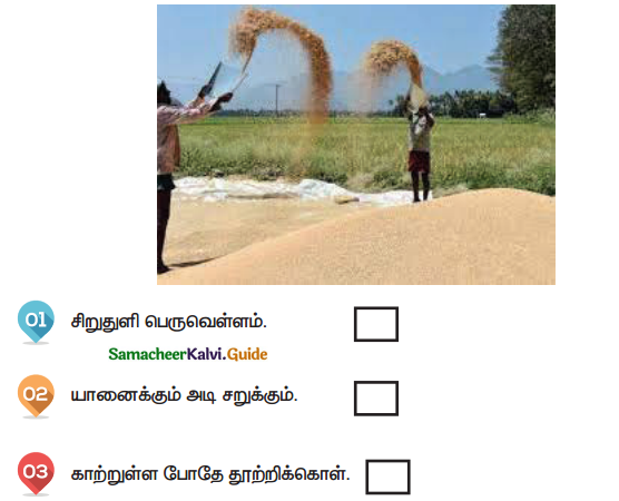 Samacheer Kalvi 4th Tamil Guide Chapter 5 பண்படுத்தும் பழமொழிகள் - 4