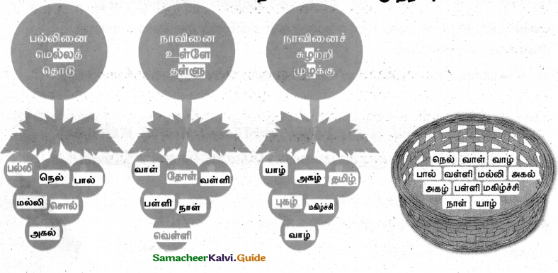 Samacheer Kalvi 4th Tamil Guide Chapter 6 முயல் அரசன் - 8