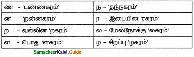 Samacheer Kalvi 5th Tamil Guide Chapter 1.4 மரபுச்சொற்கள் - 14