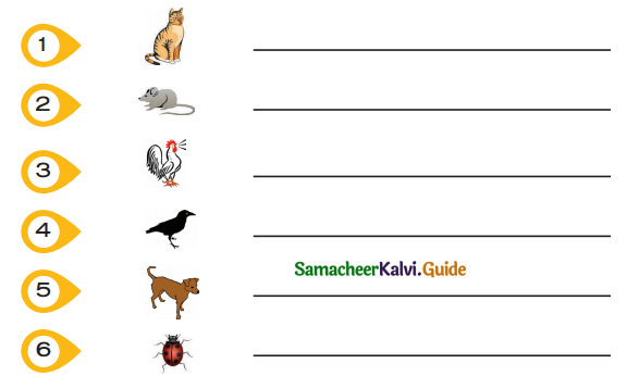 Samacheer Kalvi 5th Tamil Guide Chapter 1.4 மரபுச்சொற்கள் - 3