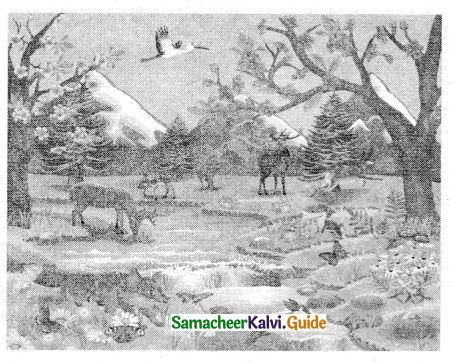 Samacheer Kalvi 5th Tamil Guide Chapter 2.4 பெயர்ச்சொல், வினைச்சொல் - 12