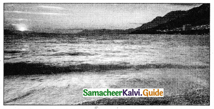 Samacheer Kalvi 5th Tamil Guide Chapter 3.4 சொற்றொடர் அமைப்பு முறை - 8