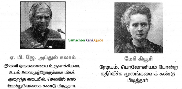 Samacheer Kalvi 5th Tamil Guide Chapter 4.4 மூவிடப்பெயர்கள் - 10