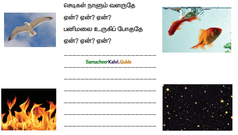 Samacheer Kalvi 5th Tamil Guide Chapter 4.4 மூவிடப்பெயர்கள் - 11
