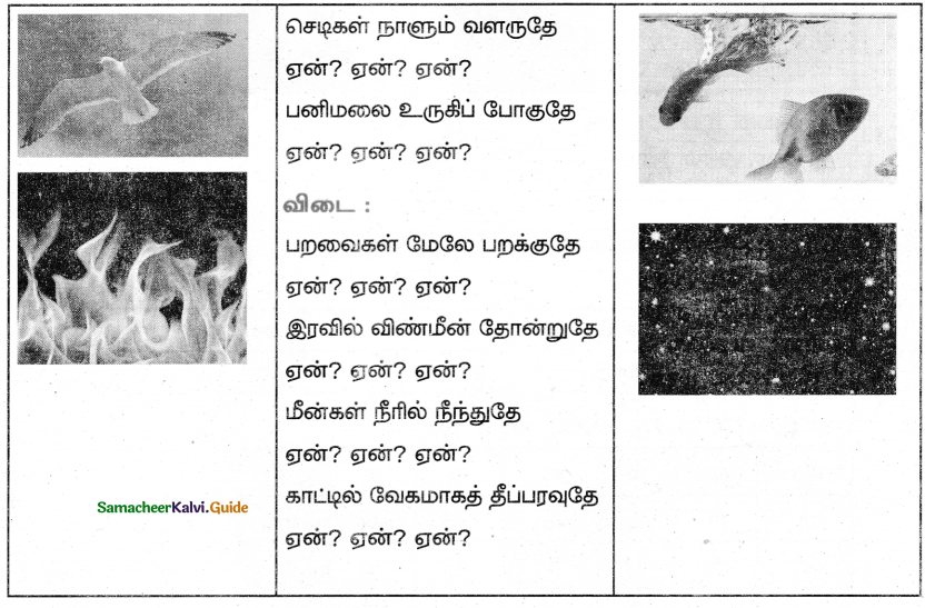 Samacheer Kalvi 5th Tamil Guide Chapter 4.4 மூவிடப்பெயர்கள் - 3