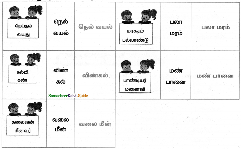 Samacheer Kalvi 5th Tamil Guide Chapter 8.4 மயங்கொலிச் சொற்கள் - 4