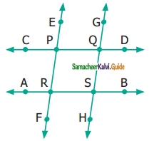 Samacheer Kalvi 6th Maths Guide Term 1 Chapter 4 Geometry Ex 4.1 6