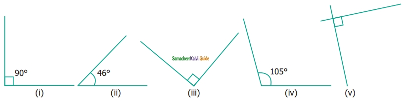 Samacheer Kalvi 6th Maths Guide Term 1 Chapter 4 Geometry Ex 4.2 10