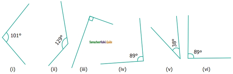 Samacheer Kalvi 6th Maths Guide Term 1 Chapter 4 Geometry Ex 4.2 12