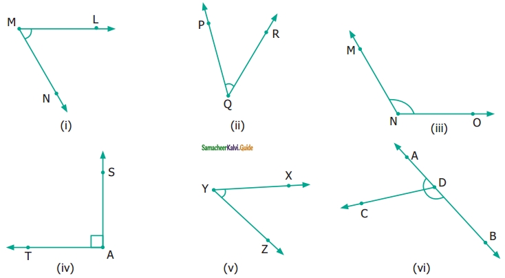 Samacheer Kalvi 6th Maths Guide Term 1 Chapter 4 Geometry Ex 4.2 13