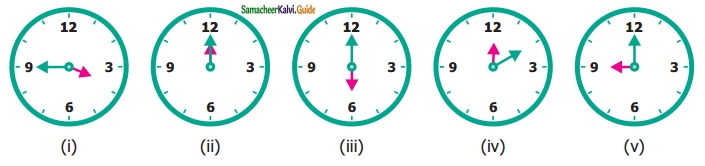 Samacheer Kalvi 6th Maths Guide Term 1 Chapter 4 Geometry Ex 4.2 15