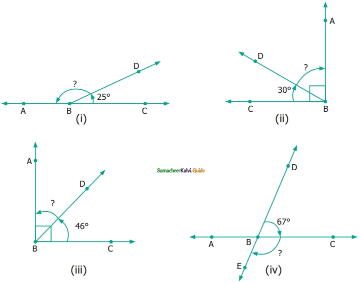 Samacheer Kalvi 6th Maths Guide Term 1 Chapter 4 Geometry Ex 4.2 16