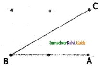 Samacheer Kalvi 6th Maths Guide Term 1 Chapter 4 Geometry Ex 4.2 5