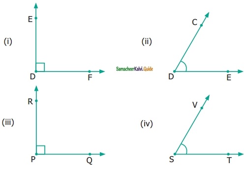 Samacheer Kalvi 6th Maths Guide Term 1 Chapter 4 Geometry Ex 4.2 9