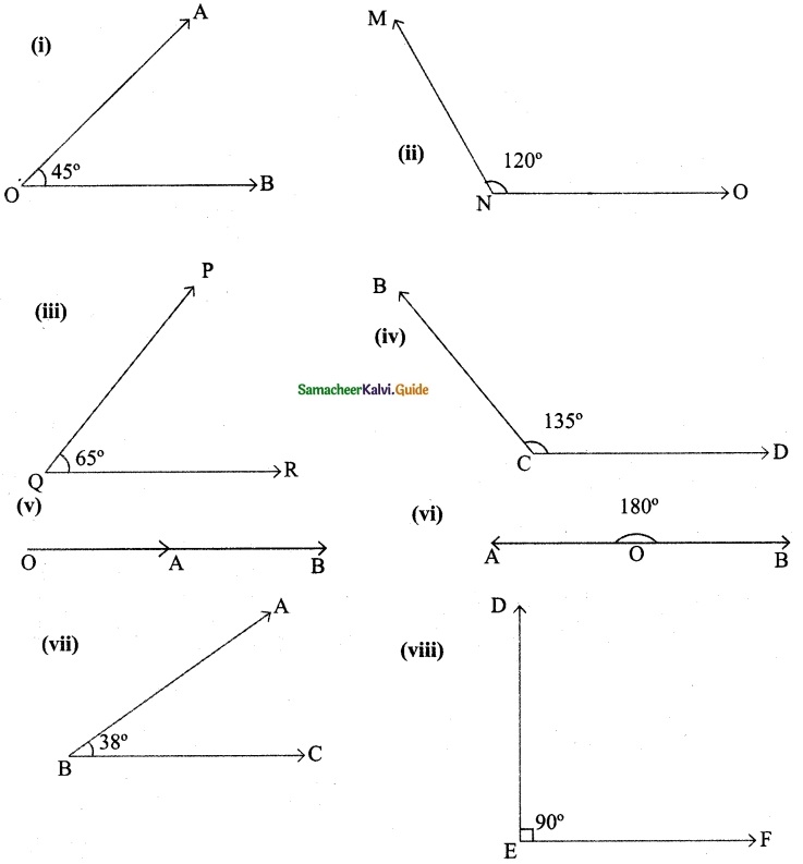 Samacheer Kalvi 6th Maths Guide Term 1 Chapter 4 Geometry Ex 4.4 5