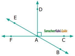 Samacheer Kalvi 6th Maths Guide Term 1 Chapter 4 Geometry Ex 4.4 8