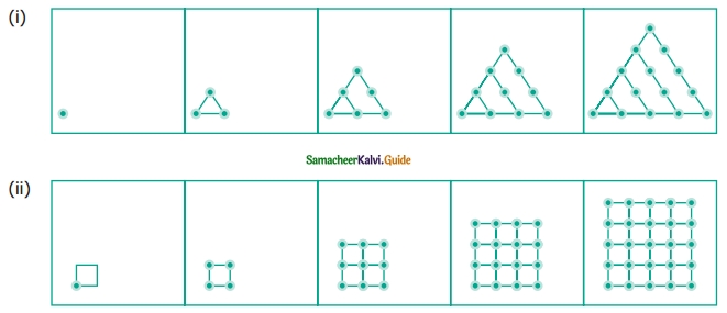 Samacheer Kalvi 6th Maths Guide Term 1 Chapter 6 Information Processing Ex 6.3 2