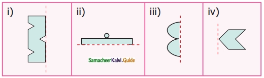 Samacheer Kalvi 6th Maths Guide Term 3 Chapter 4 Symmetry Ex 4.1 7