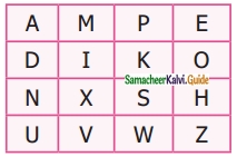 Samacheer Kalvi 6th Maths Guide Term 3 Chapter 4 Symmetry Ex 4.2 1