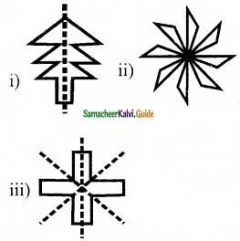 Samacheer Kalvi 6th Maths Guide Term 3 Chapter 4 Symmetry Ex 4.2 8