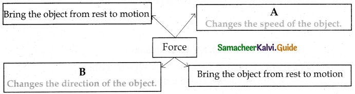 Samacheer Kalvi 6th Science Guide Term 1 Chapter 2 Force and Motion 8