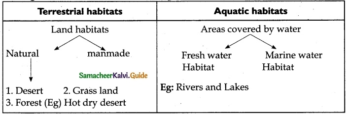 Samacheer Kalvi 6th Science Guide Term 1 Chapter 4 The Living World of Plants 3