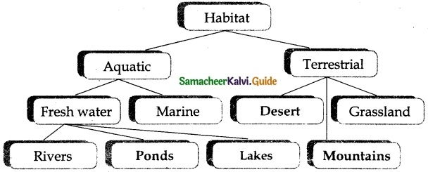 Samacheer Kalvi 6th Science Guide Term 1 Chapter 4 The Living World of Plants 5