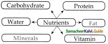 Samacheer Kalvi 6th Science Guide Term 1 Chapter 6 Health and Hygiene 3
