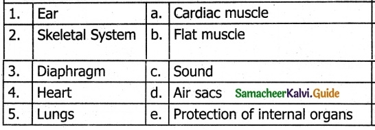 Samacheer Kalvi 6th Science Guide Term 2 Chapter 6 Human Organ Systems 1