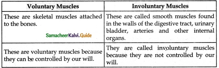 Samacheer Kalvi 6th Science Guide Term 2 Chapter 6 Human Organ Systems 2