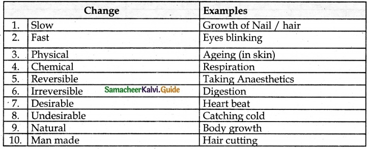 Samacheer Kalvi 6th Science Guide Term 3 Changes Around Us 4