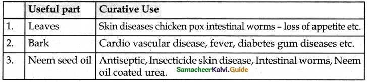 Samacheer Kalvi 6th Science Guide Term 3 Chapter 5 Plants in Daily Life 4
