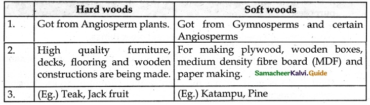Samacheer Kalvi 6th Science Guide Term 3 Chapter 5 Plants in Daily Life 5