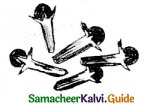 Samacheer Kalvi 6th Science Guide Term 3 Chapter 5 Plants in Daily Life 9