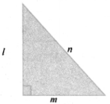 Samacheer Kalvi 8th Maths Guide Answers Chapter 5 Geometry Ex 5.2 2