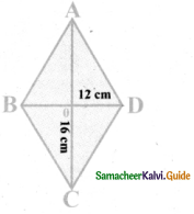 Samacheer Kalvi 8th Maths Guide Answers Chapter 5 Geometry Ex 5.3 13