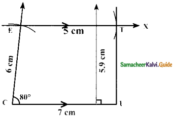 Samacheer Kalvi 8th Maths Guide Answers Chapter 5 Geometry Ex 5.4 9