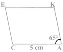 Samacheer Kalvi 8th Maths Guide Answers Chapter 5 Geometry Ex 5.5 11