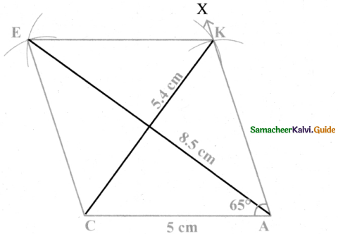 Samacheer Kalvi 8th Maths Guide Answers Chapter 5 Geometry Ex 5.5 12