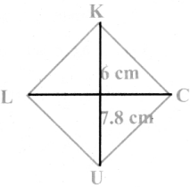 Samacheer Kalvi 8th Maths Guide Answers Chapter 5 Geometry Ex 5.5 13