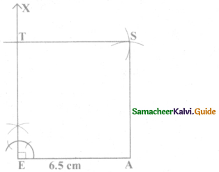 Samacheer Kalvi 8th Maths Guide Answers Chapter 5 Geometry Ex 5.5 22