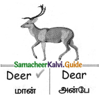 Samacheer Kalvi 4th English Guide Term 1 Prose Chapter 2 Do it yourself 17