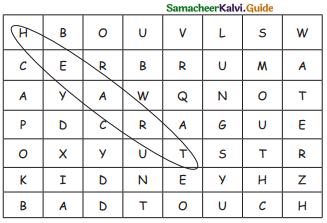 Samacheer Kalvi 4th Science Guide Term 1 Chapter 1 my body 15