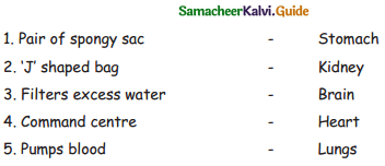 Samacheer Kalvi 4th Science Guide Term 1 Chapter 1 my body 18