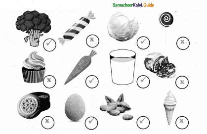 Samacheer Kalvi 4th Science Guide Term 1 Chapter 1 my body 8