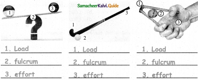 Samacheer Kalvi 4th Science Guide Term 1 Chapter 3 work and energy 20