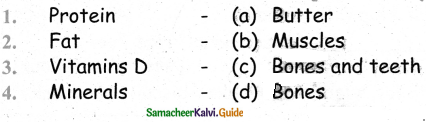 Samacheer Kalvi 4th Science Guide Term 1 Chapter 4 science in everyday life 6